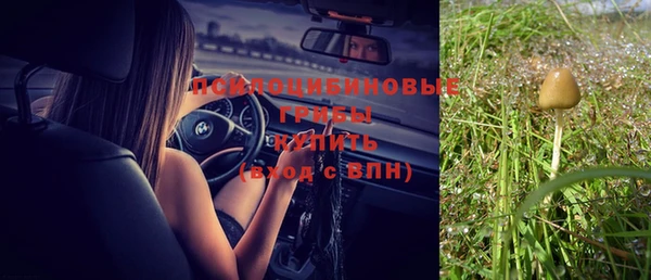твердый Вязники